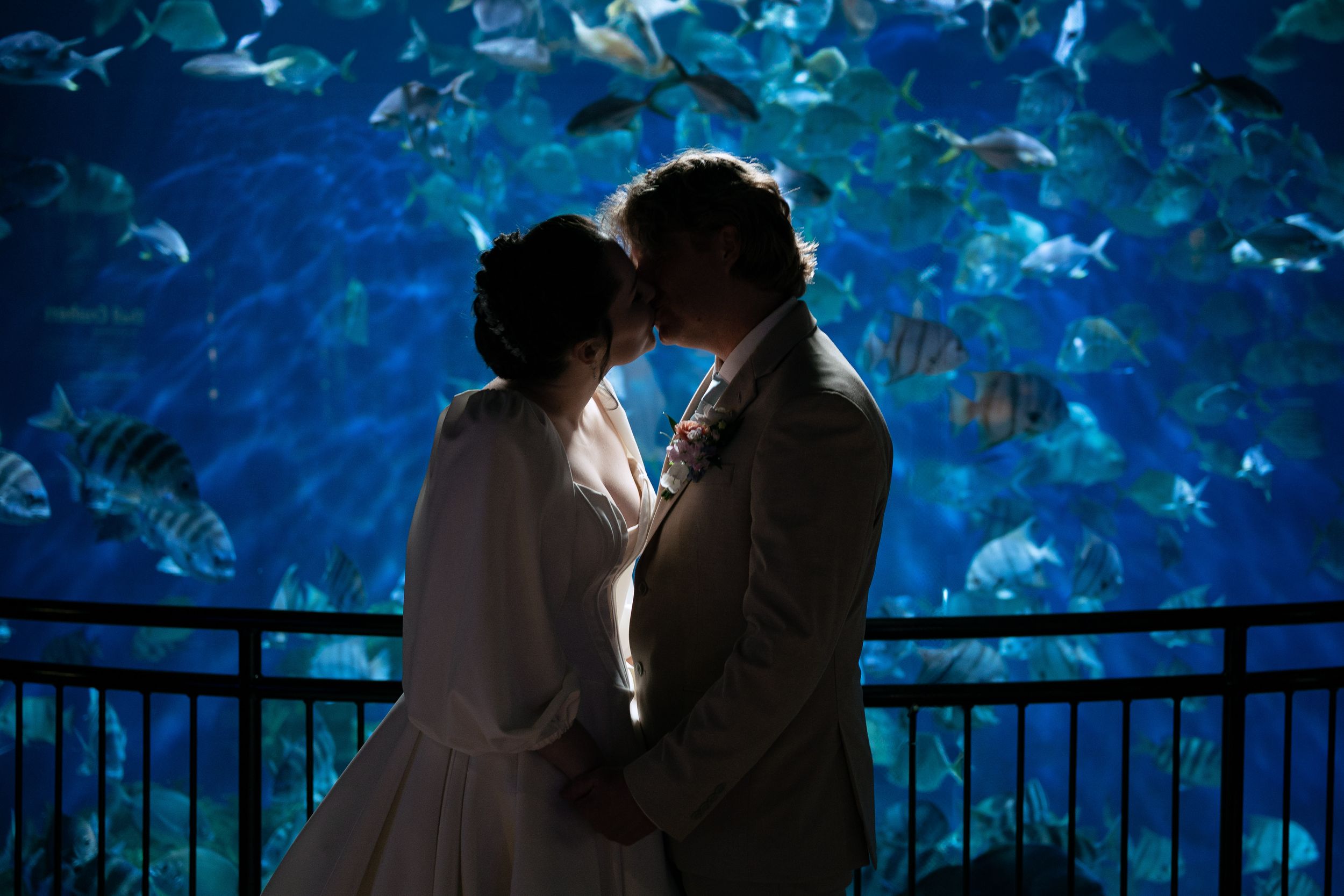 Silhouetted couple embraces by a glowing blue aquarium tank filled with swimming fish and marine life.