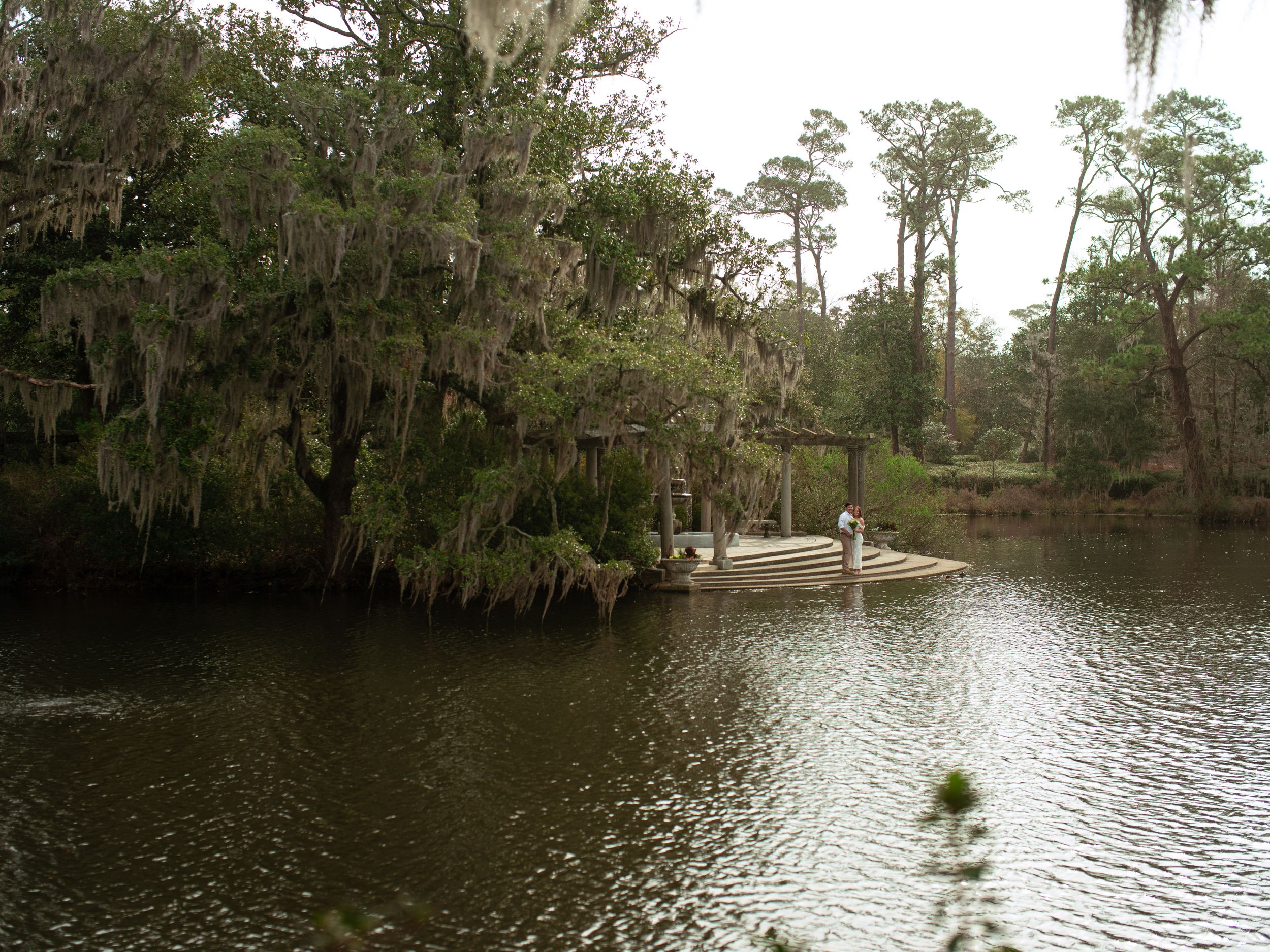Scenic panoramic view of a cypress swamp with moss-draped trees and reflective waters in southern wetlands.