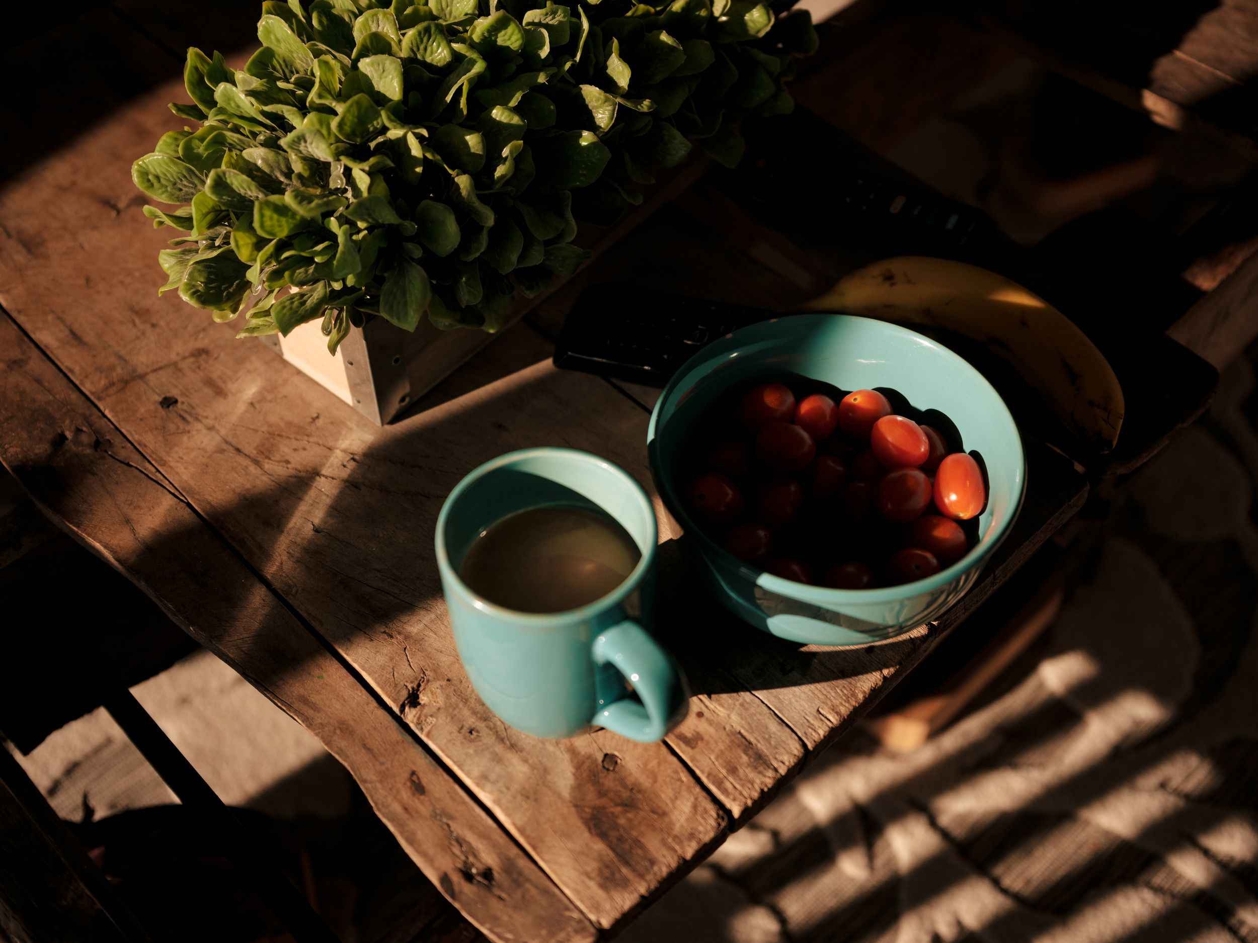 Turquoise bowls and fresh strawberries on a rustic wooden table in sunlit room.