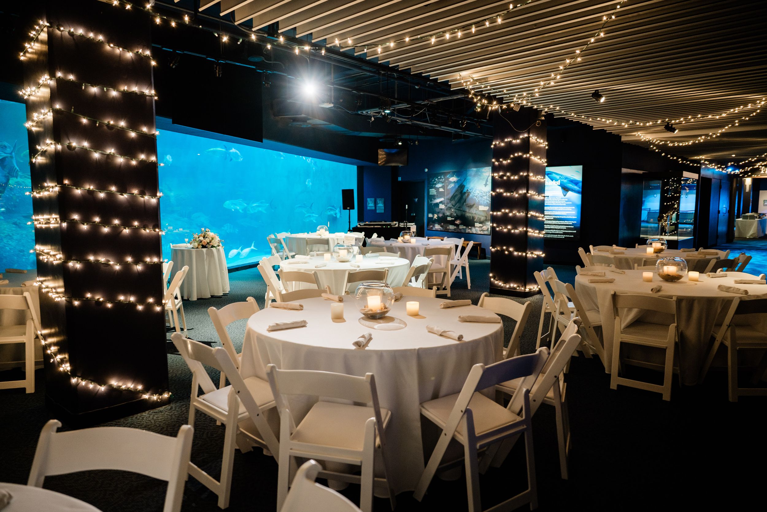 An elegant reception hall decorated with string lights and white table settings for a wedding celebration.