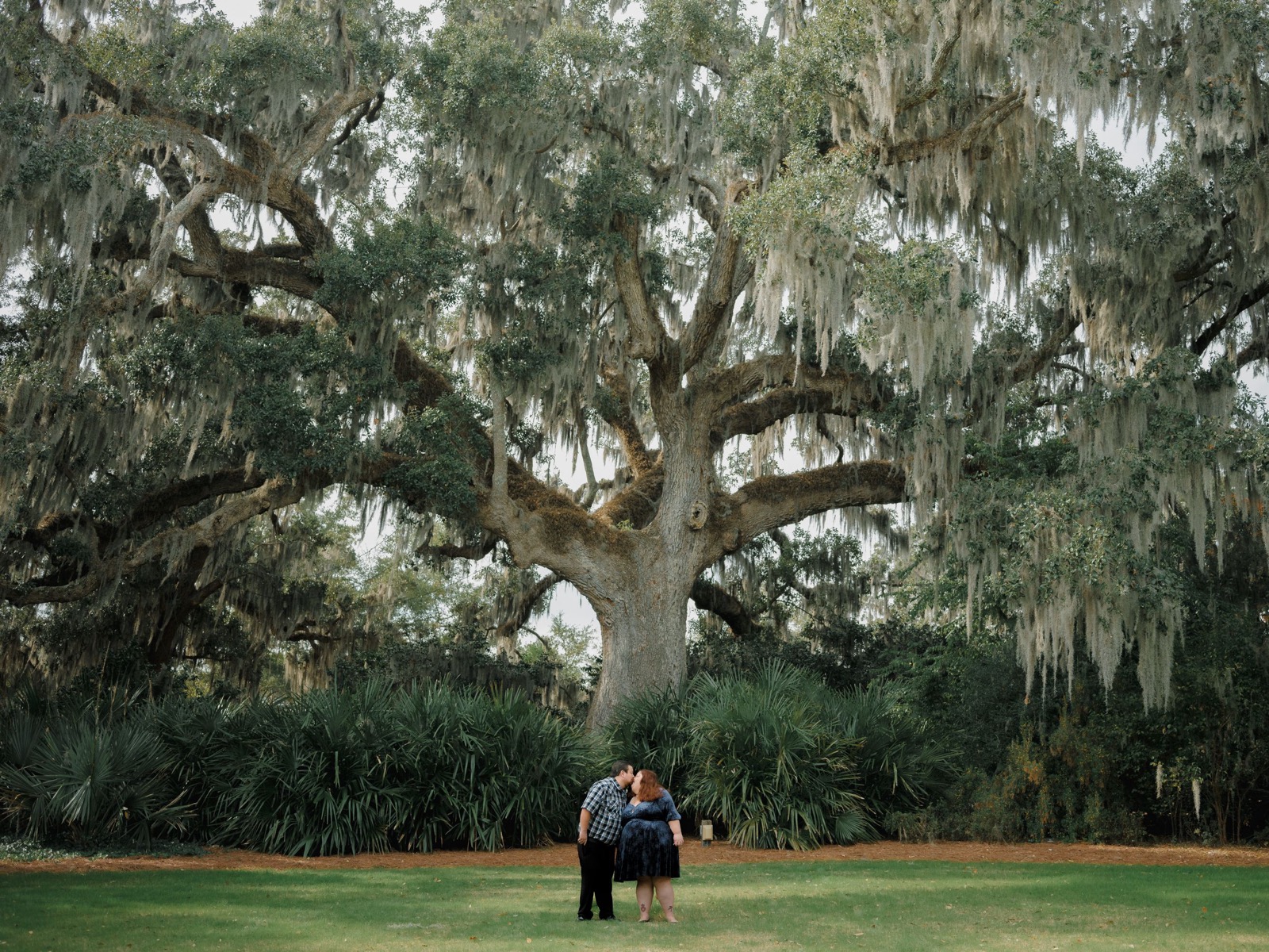 Wilmington Family Photos