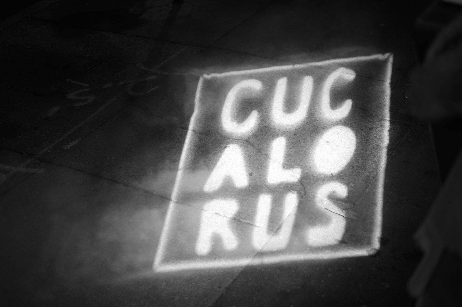 BTS: Cucalorus Film Festival 2023