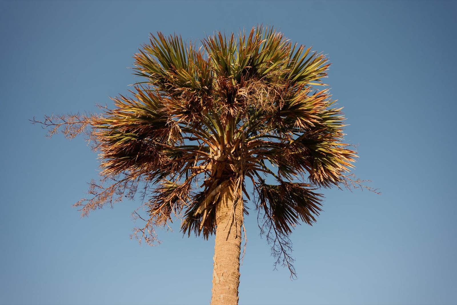 Downtown Wilmington + Wrightsville Beach | Wilmington Engagement Photographer
