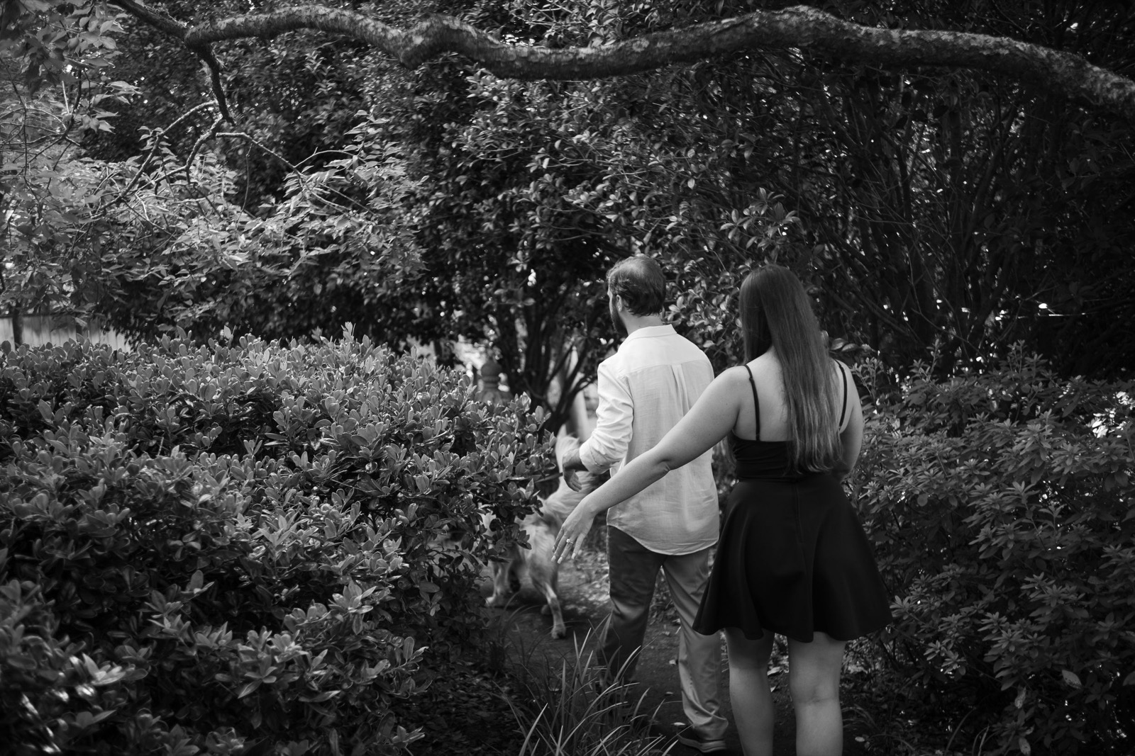 photographer captures couples getting engaged in New Hanover Arboretum | North Carolina wedding photographer