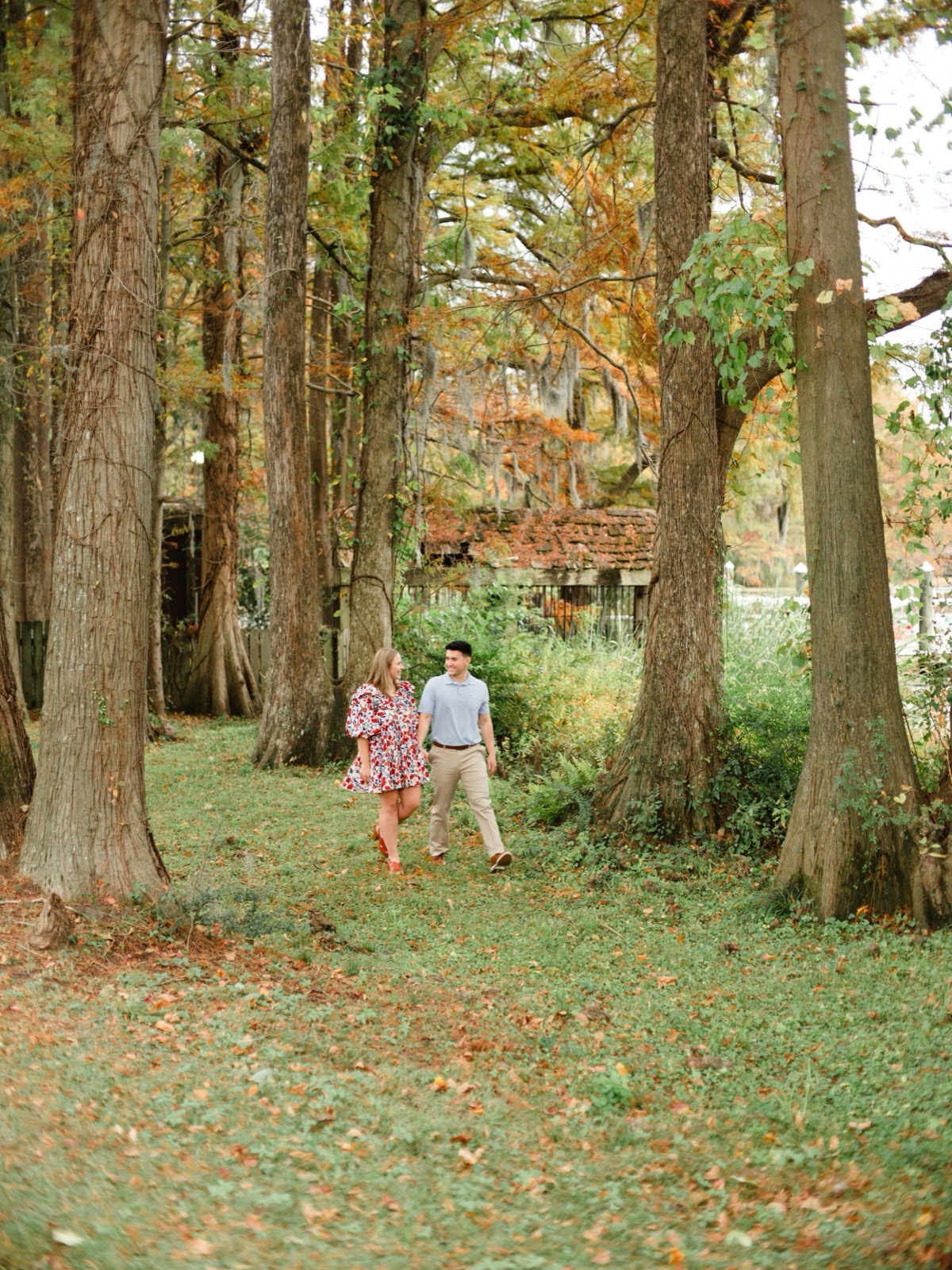Greenfield Lake Photos | Wilmington  Photographer
