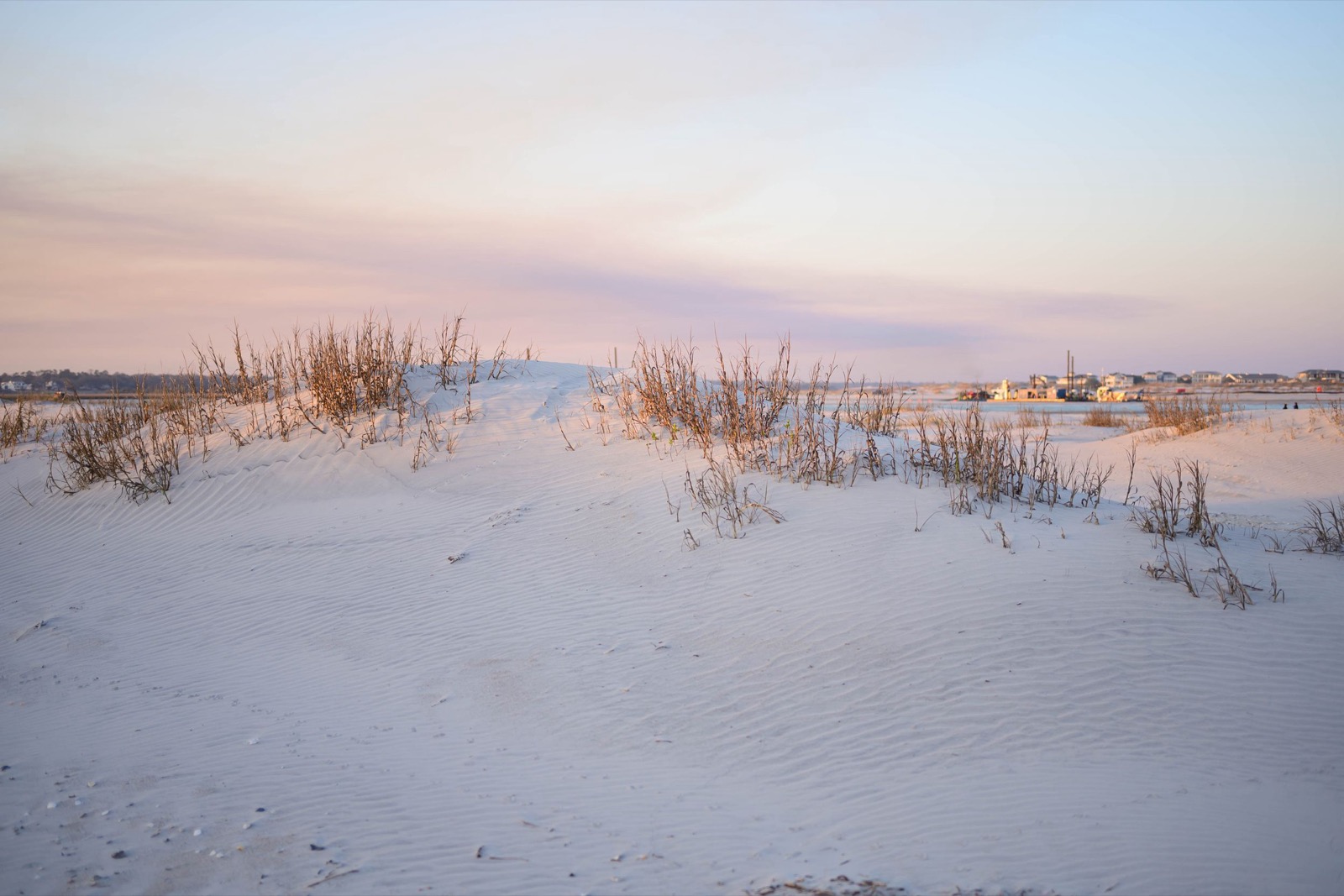 Nikon Zf raw files