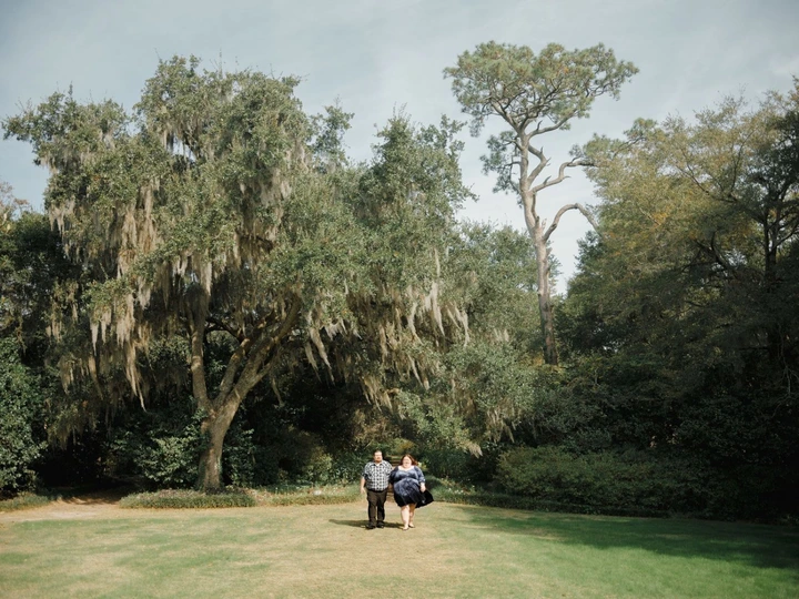 Spanish moss drapes over oak trees along a scenic trail path through a lush Southern landscape.