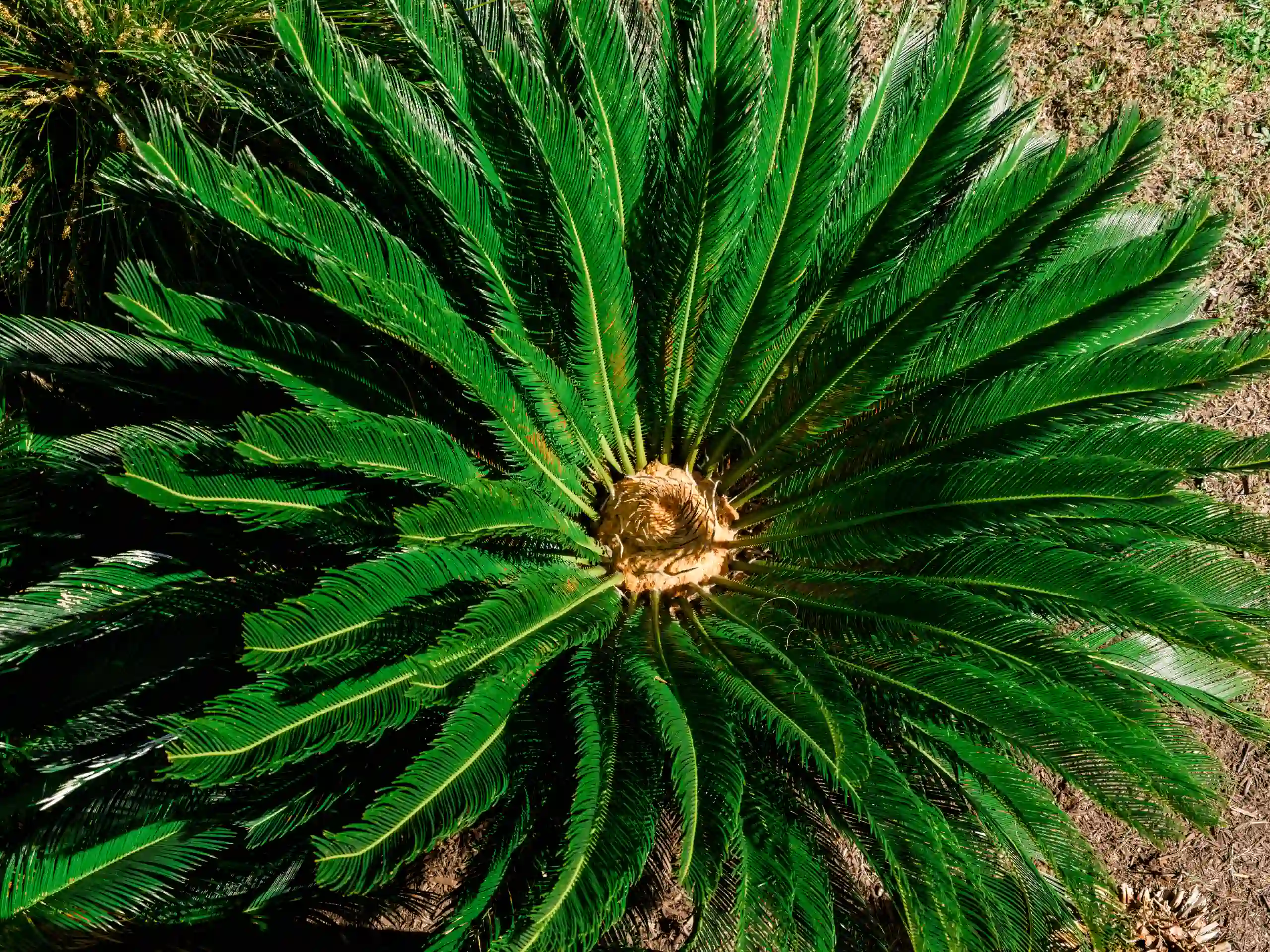 Spring Wedding in Oak Island wedding photo 40