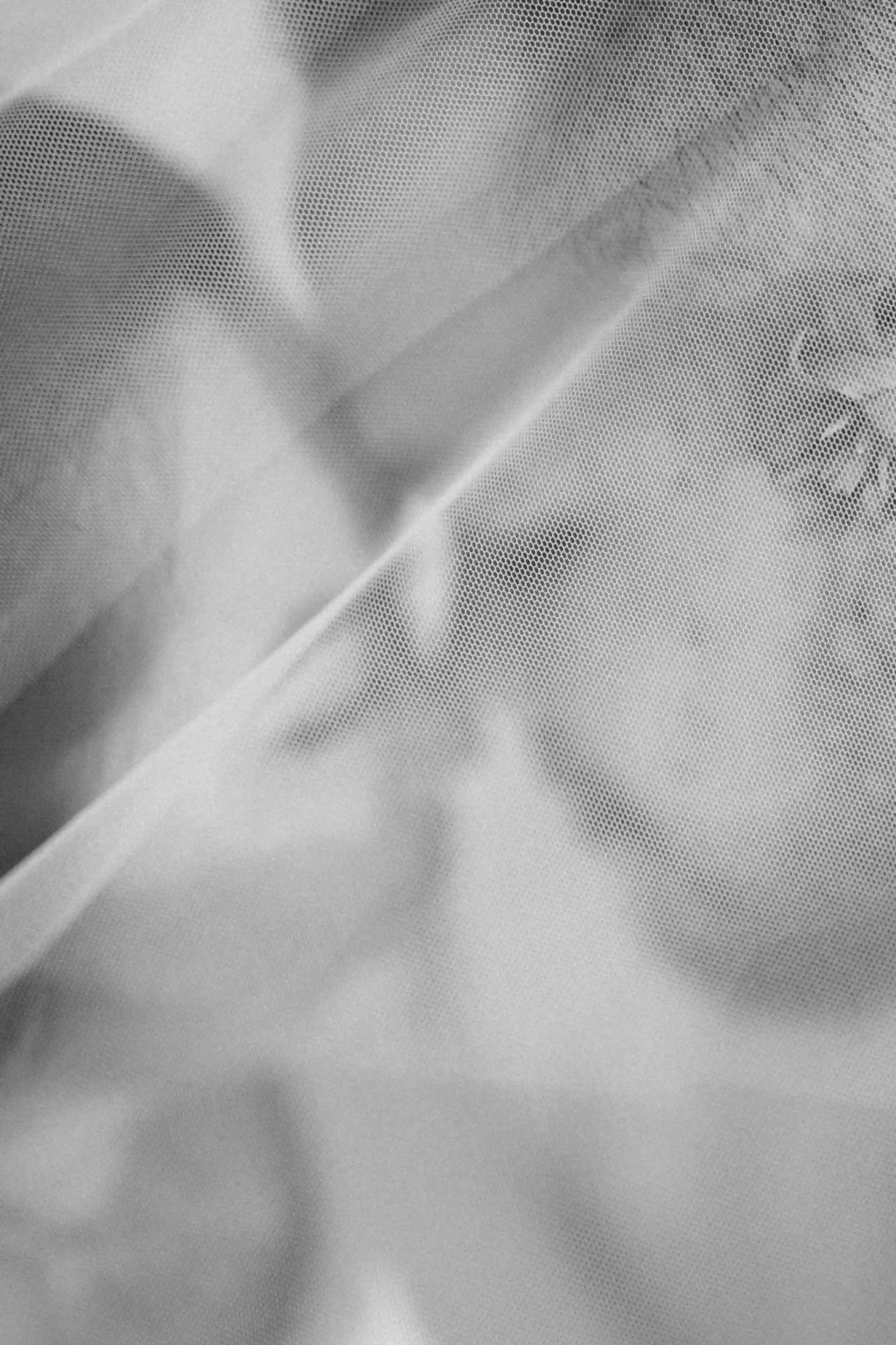 Wilmington Family Photos