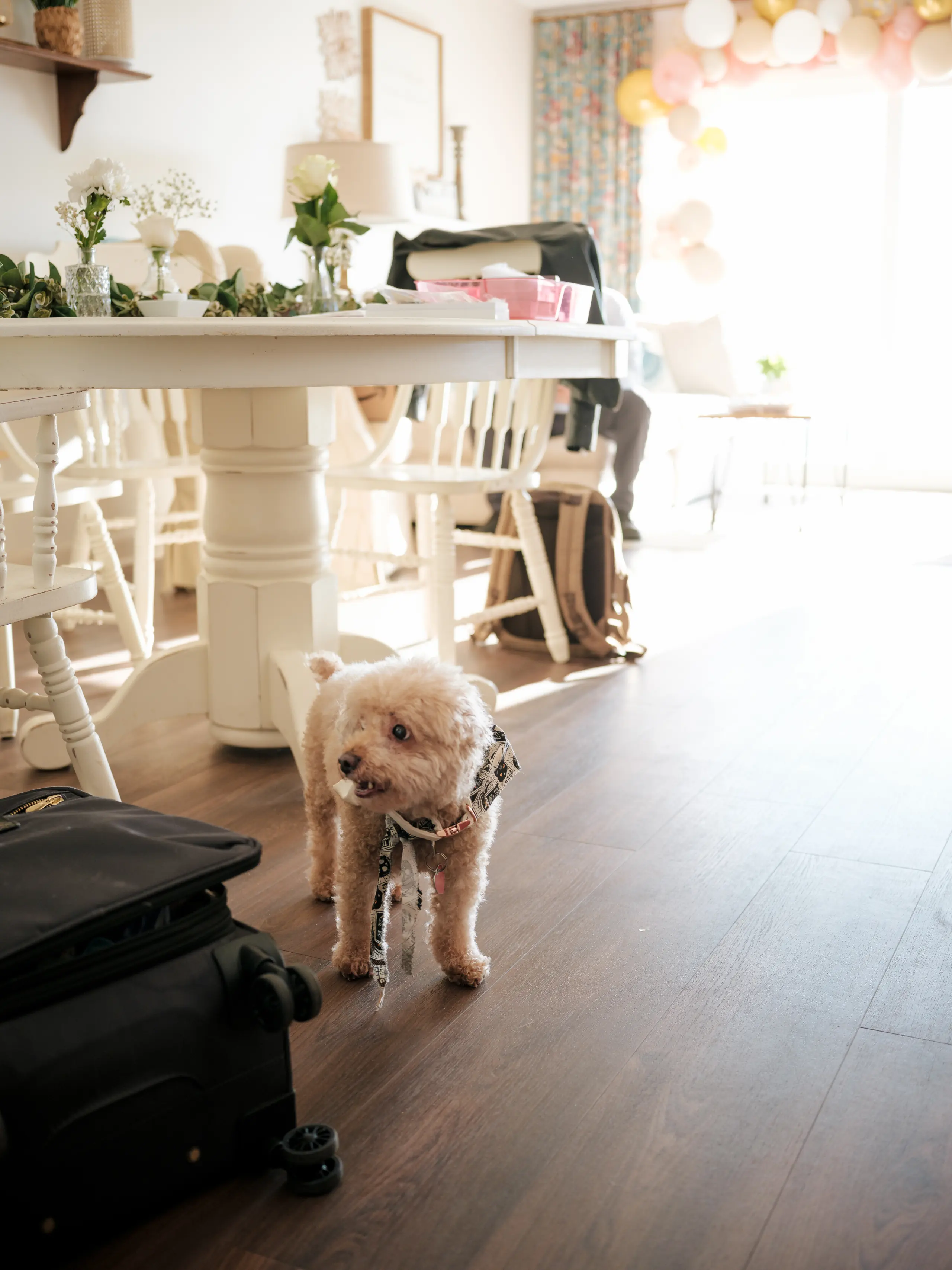 Fort Fisher State Recreation Area wedding photo 56