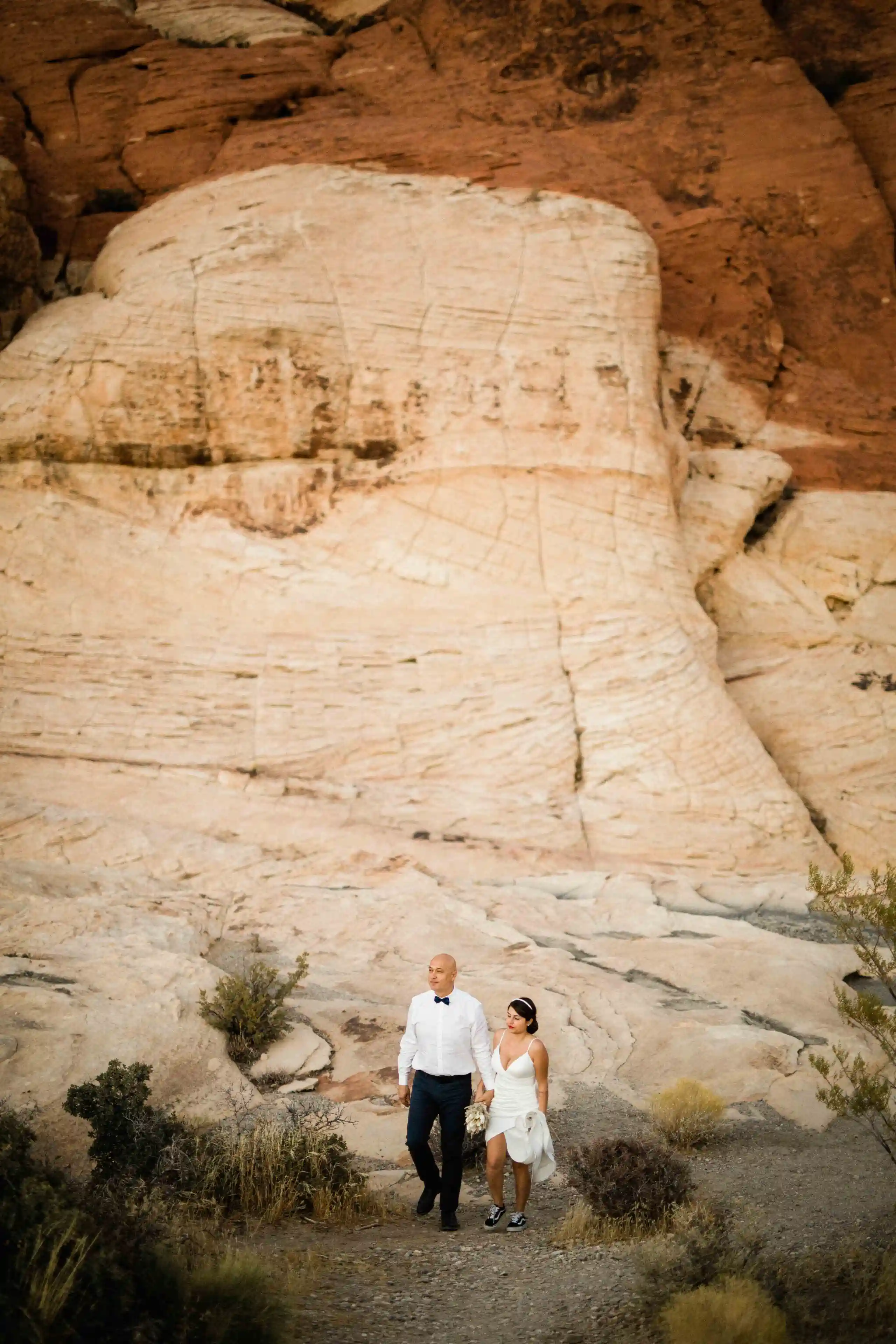 Red Rock National Park wedding photo 41
