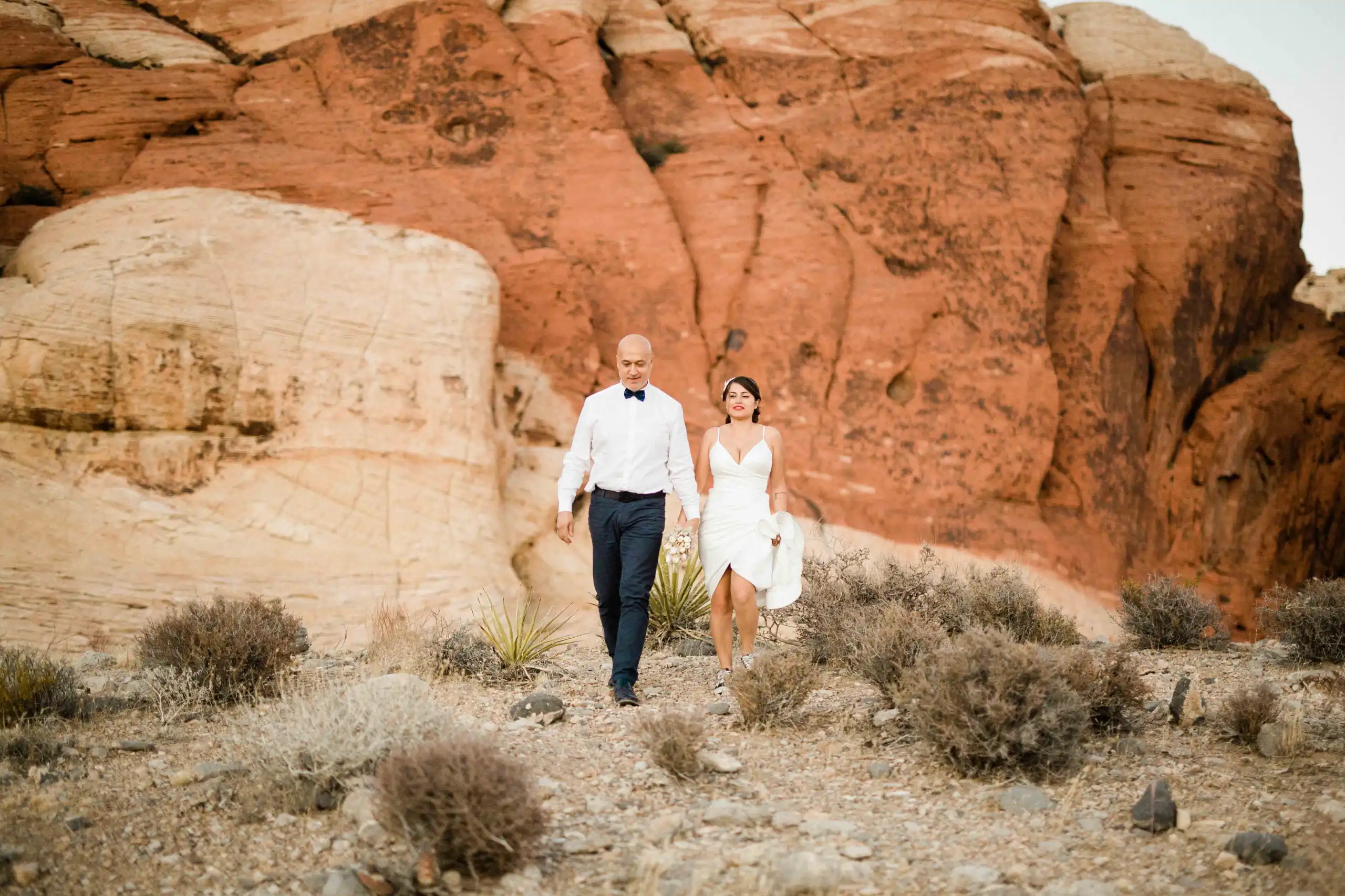 Red Rock National Park wedding photo 43