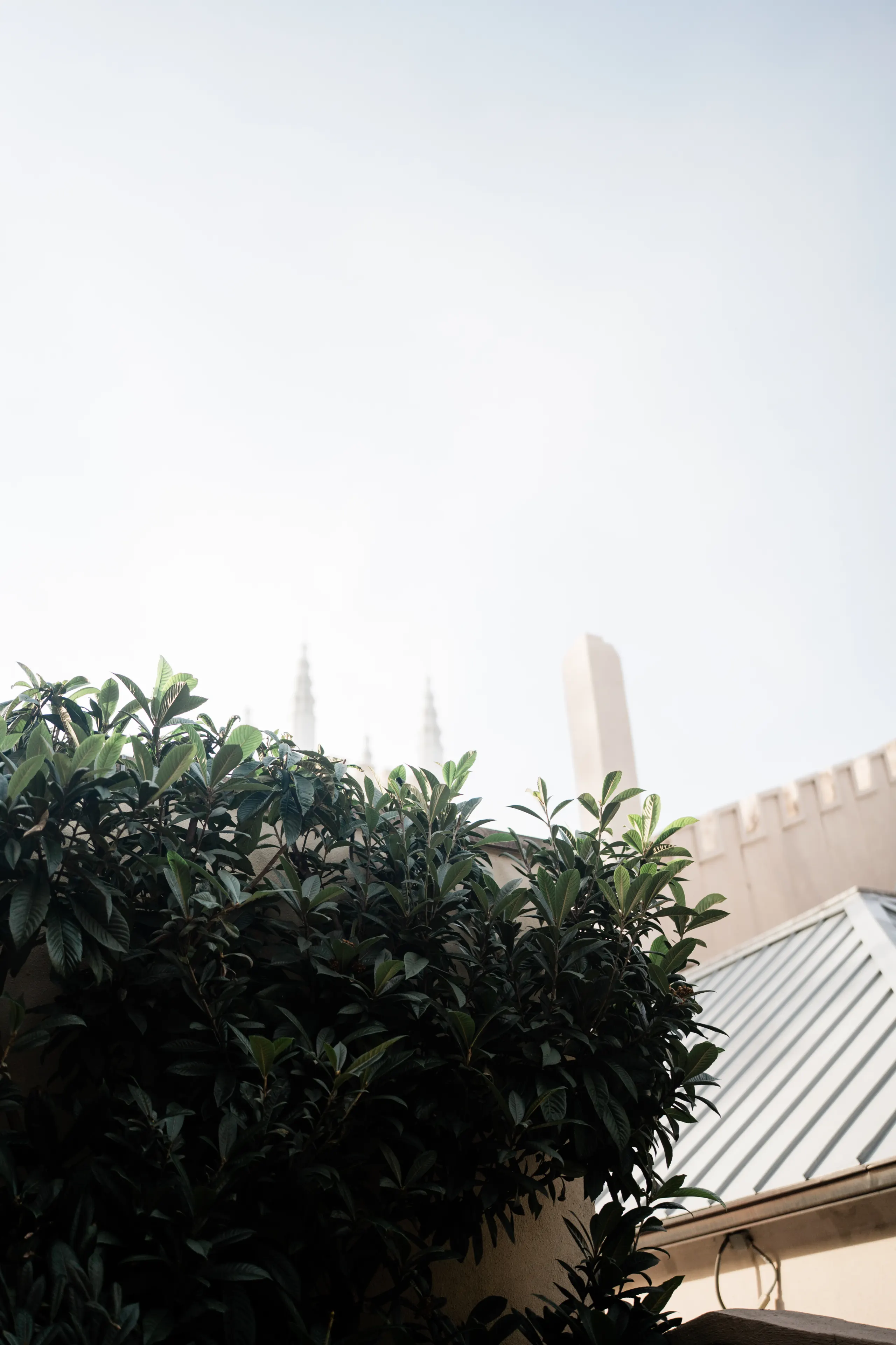 St. James Episcopal Church wedding photo 9