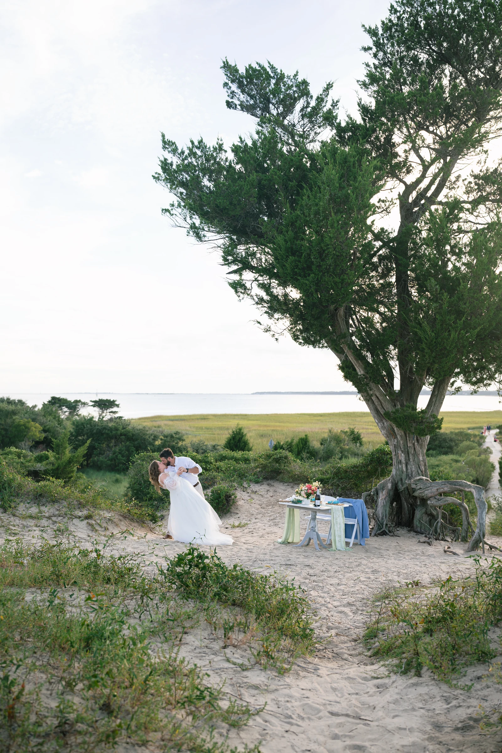 A wide view of Bryan and Dev’s anniversary picnic beneath the waterfront tree.